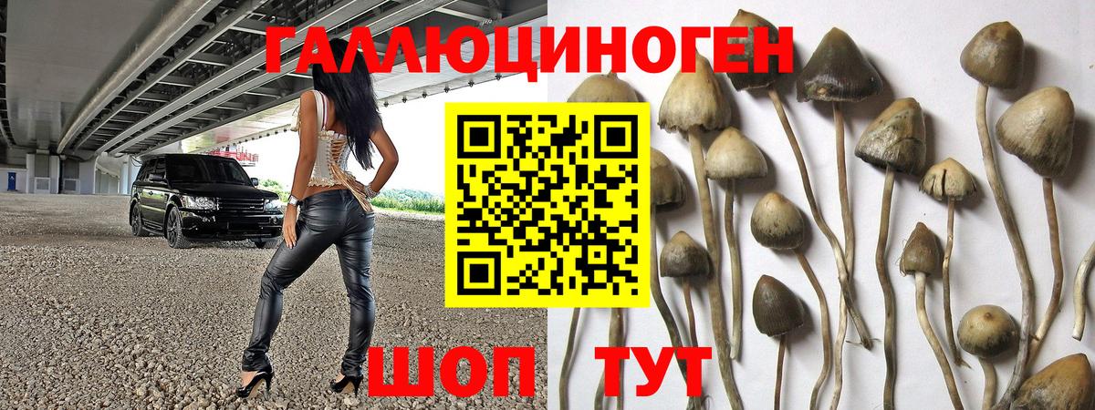 Псилоцибиновые грибы прущие грибы  Вход с VPN  Галлюциногенные грибы GOLDEN TEACHER  Уссурийск 